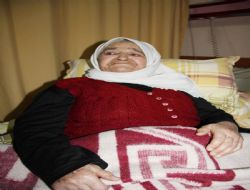 Asırlık çınar savaş yıllarını anlattı